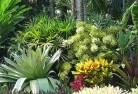 Launching Placehorticulturist-5.jpg; ?>